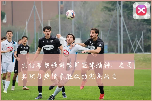 杰伦布朗强调绿军篮球精神：各司其职与热情求胜欲的完美结合