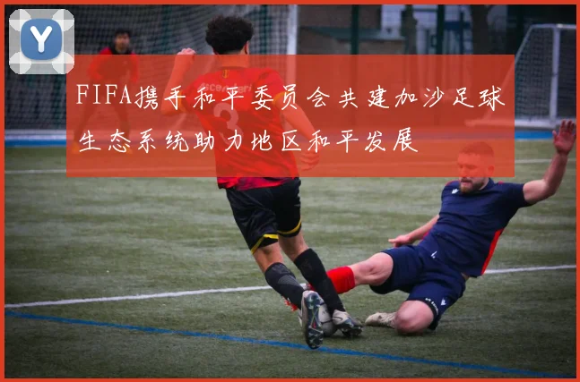 FIFA携手和平委员会共建加沙足球生态系统助力地区和平发展
