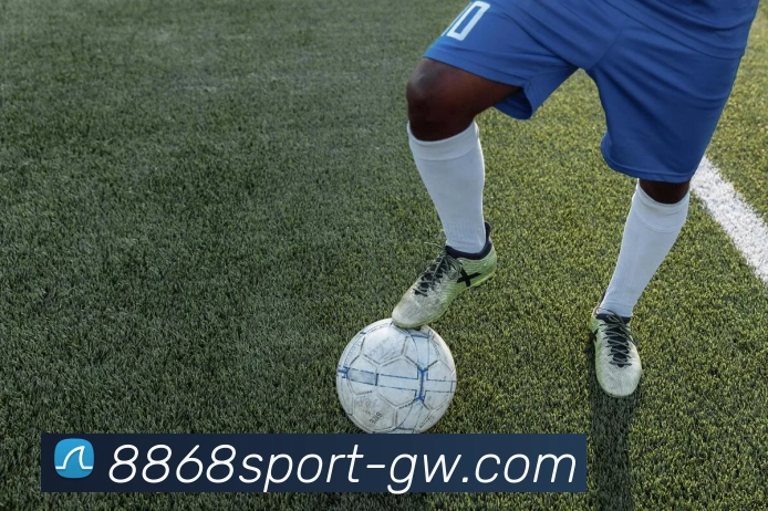 8868体育APP 封面图